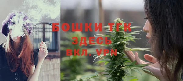 мдпв Кинешма
