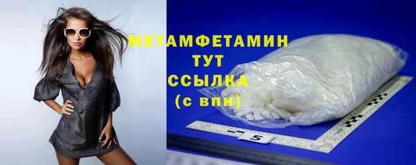 сатива Карпинск