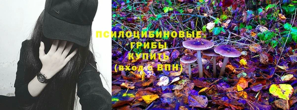 мдпв Кинешма