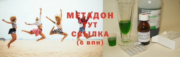 сатива Карпинск