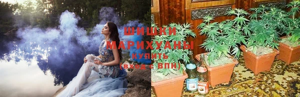 spice Карталы