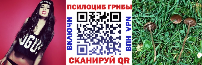 Псилоцибиновые грибы Magic Shrooms  Купить  Бронницы 